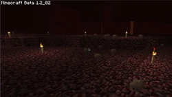Nether brown mushrooms