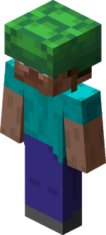 Steve in turtle shell.png