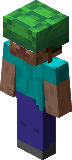 Steve in turtle shell