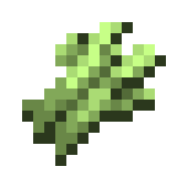 sugar cane minecraft texture