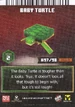 Baby Turtle Card Back MCDA