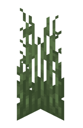 Tall Grass