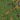 1.14 panorama 5