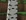 Birch log texture update preview 2