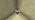 Potted Cobweb JE1