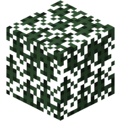 Leaves – Minecraft Wiki