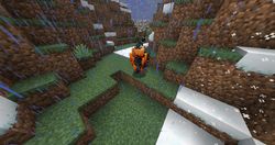 Minecraft Blaze Survival Mode