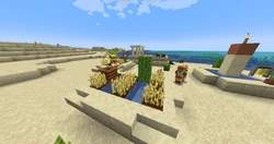 Cacti floating in village garden.