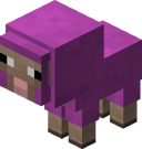 Baby Magenta Sheep BE4