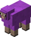 Magenta Sheep BE3