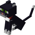 Sitting Tamed Baby Tuxedo Cat with Red Collar