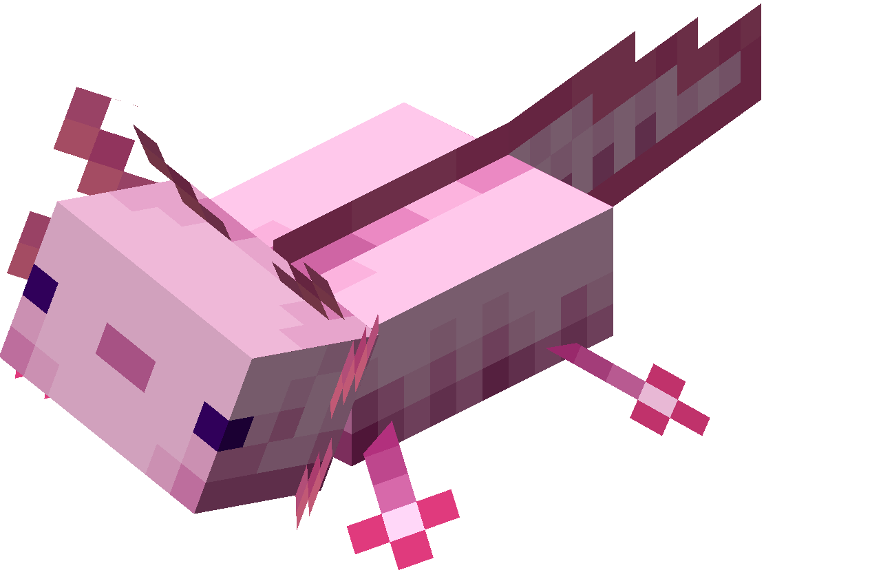 Axolotl Minecraft Wiki Axolotl Minecraft Wiki