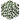 Birch Leaves