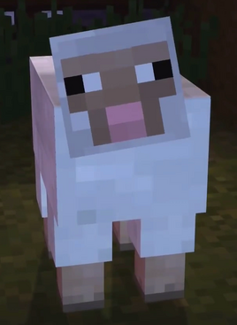 MCSM Sheep
