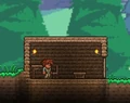 A house in Terraria