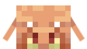 PiglinFace (Dungeons)