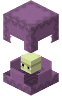 Shulker