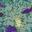 V1.5.0.4 panorama 5.png