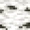 Birch Log (texture) JE3 BE2.png