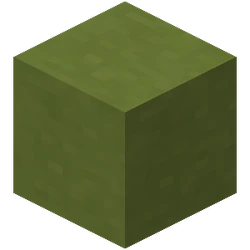 Lime Terracotta
