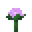 Paeonia (texture) TU1.png