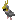 Dancing Gray Parrot