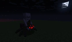 A spider jockey.