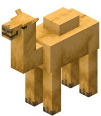 Camel
