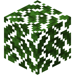 Leaves – Minecraft Wiki