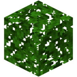 Oak Leaves