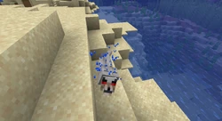 Even aggressive wolves will shake off water droplets after a swim.