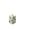 Turtle Egg.png