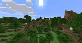 Wooded Hills