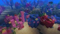 A view of a coral reef close-up.