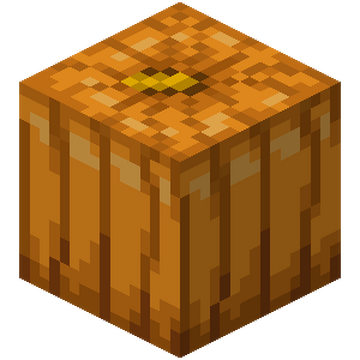 https://static.wikia.nocookie.net/minecraft_gamepedia/images/0/0b/Carved_Pumpkin_%28W%29_JE5.png/revision/latest/scale-to-width/360?cb=20210321151311