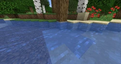 A tree growing on a clay block, caused when the clay replaced the dirt.