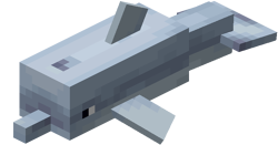Dolphin calf‌[Bedrock Edition only]
