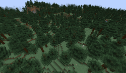 How rare is taiga biome in Minecraft 1.19?