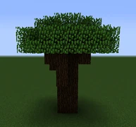 A spruce tree with spruce logs and oak leaves