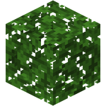 Dark Oak Leaves BE2.png