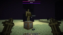 A dual wielding armor stand.