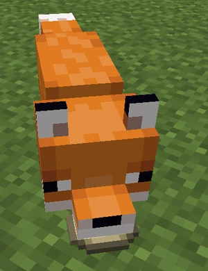 A trusting fox holding an egg in its mouth.