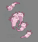 Group of Axolotls.