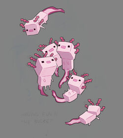 Axolotl Official Minecraft Wiki Axolotl Official Minecraft Wiki