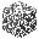 Spruce Leaves (inventory) JE9