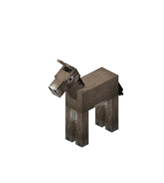 Baby_Donkey