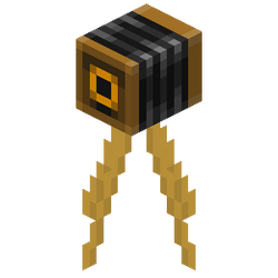 Camera Official Minecraft Wiki