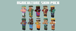 Minecraft Education Edition NPC ApiaryPre1 Minecraft Skin