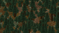 Naturally generated podzol in a giant spruce taiga biome.