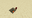 Unlit Redstone Wall Torch (E) JE5.png
